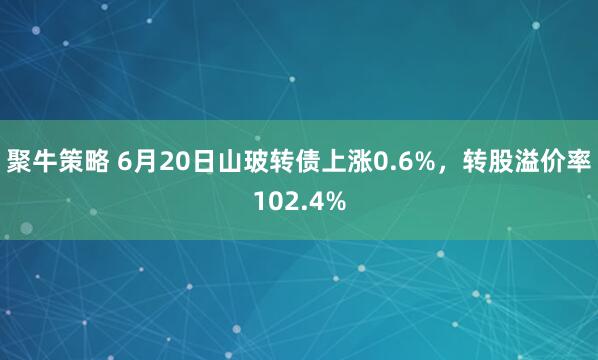 聚牛策略 6月20日山玻转债上涨0.6%，转股溢价率102.4%