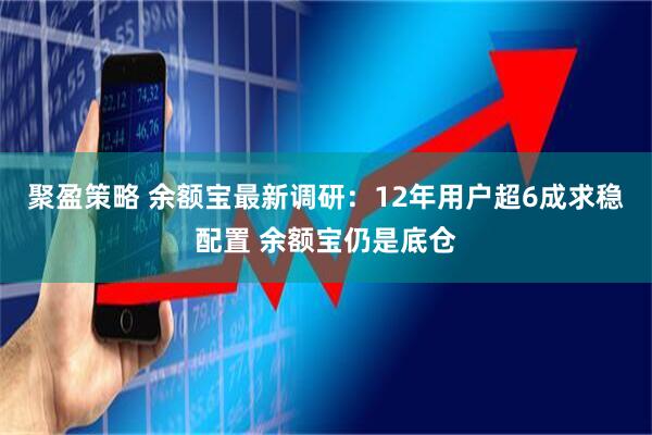 聚盈策略 余额宝最新调研：12年用户超6成求稳配置 余额宝仍是底仓