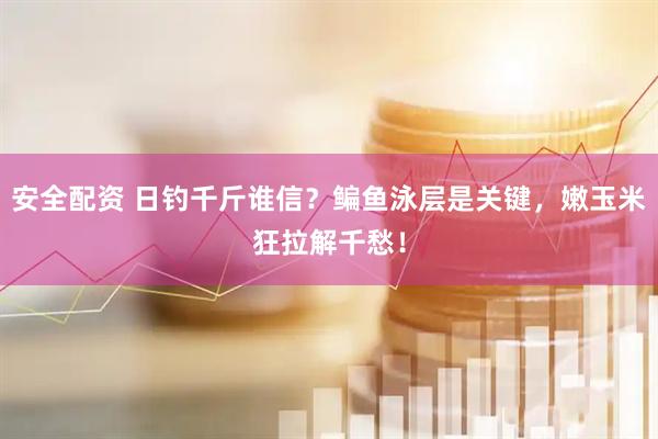 安全配资 日钓千斤谁信？鳊鱼泳层是关键，嫩玉米狂拉解千愁！